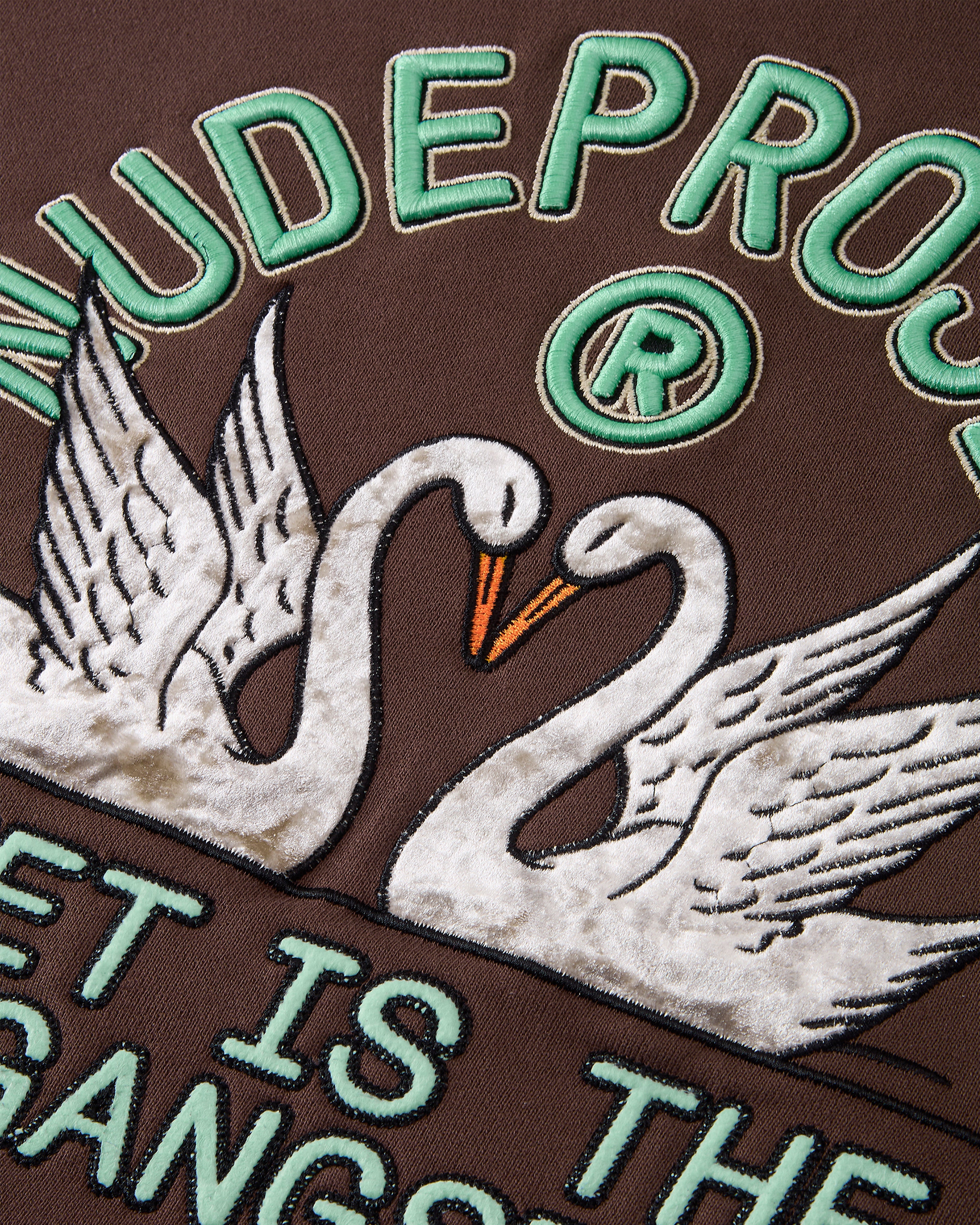 Swans Hoodie Brown