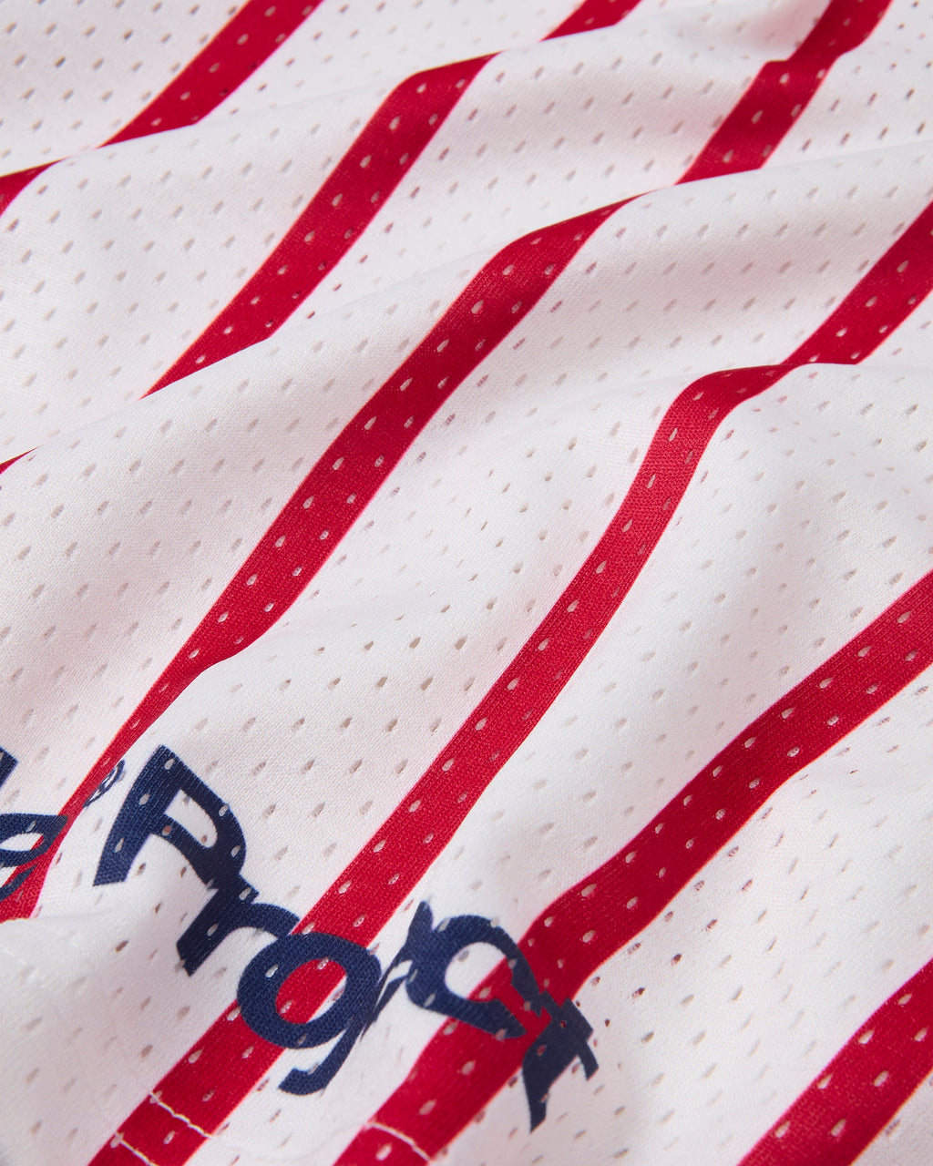 Stripes Mesh Short